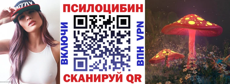 Галлюциногенные грибы Psilocybe  Сорочинск 